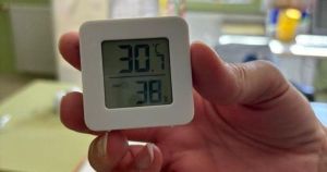 Familias y directores de colegios de Madrid unen esfuerzos para luchar contra el calor en las aulas: 