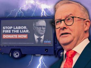 ‘Hang your head in shame’: Hadley slams arrogant Albo