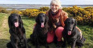 Dramatic Norfolk sea rescue is turned into childrens book
