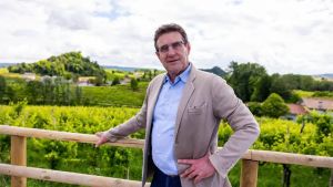 Vendemmia del Prosecco, grappoli d’oro. Meno malattie per il Docg