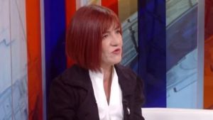 SafeJournalists: Hitno istražiti pretnje smrću novinarki N1 Danici Vučenić i njenoj porodici