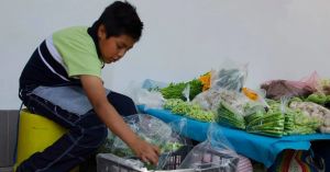 Uniendo fuerzas en el Día Mundial contra el Trabajo Infantil