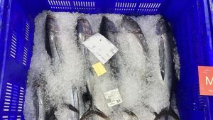 La crisis de Irán ahoga al pescado asturiano: es el producto que más se encareció en mayo