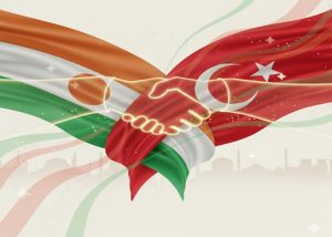 Can Türkiye maintain its “African solutions to African problems” approach in Niger?