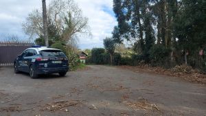 Hallan el cadáver de una mujer de 53 años en una piscina de un chalet de Gijón