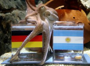 Lo que el Mundial puede enseñar sobre las finanzas