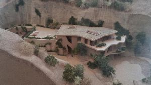 Il Genius Loci nel vigneto