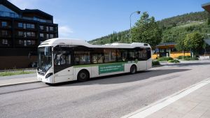 Falska presenter till Ö-viksbor
