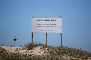 Conservation Groups Sue to Block SpaceX Land Deal in Texas Wildlife Refuge