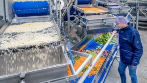 Bij Heemskerk fresh & easy gaat er elke week 1,5 miljoen kilo groenten doorheen