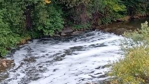 Piden año y medio de cárcel para cinco implicados en un vertido de nitratos en la sierra de La Curiscada (Tineo), que causó la muerte de dos vacas al envenenar los abrevaderos