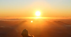 The Sunshine Vitamin: Why You Need It More Than You Think