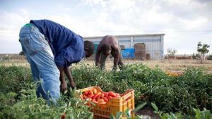 Vittime della tratta e schiavi invisibili: le storie di Joy e Yussef, immigrati finiti nel baratro del lavoro nero e della paura