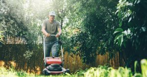 Dear Grey Place: the crisis in Glasgow’s gardens