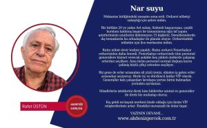 Nar suyu