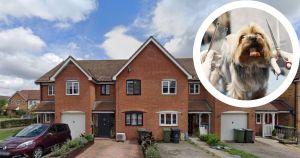 Part of town home to be converted in to dog grooming salon