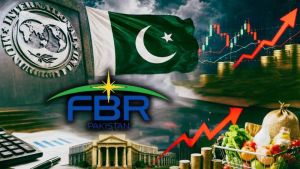 Budget, State, Taxes And Human Rights