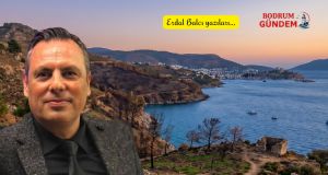 Orman Bakanlığı 2. Bölüm