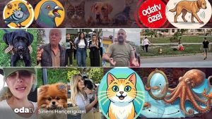 OdaPati başladı... 'Patron' köpeğin ölümü: Görüntüler ne diyor... Serengil'in acı kaybı