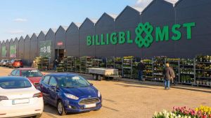 Bil­lig­blomst på vej: Nyt plan­te­cen­ter bli­ver 9000 kva­drat­me­ter
