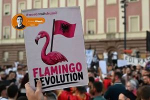 Flamingo Devrimi