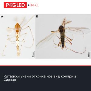 Китайски учени откриха нов вид комари в Сидзан