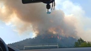 Preocupación en Grado por la evolución del incendio forestal que afecta a Peñaflor y Vega de Anzo
