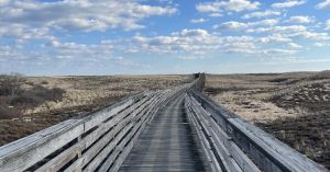 How to Cultivate Spacious Awareness