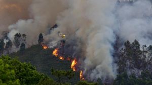 Hablan los vecinos de la zona del incendio de Grado: 