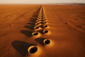 Persia Bred Top-Tier Diggers for Millennia. Why Leave Its Uranium Buried?