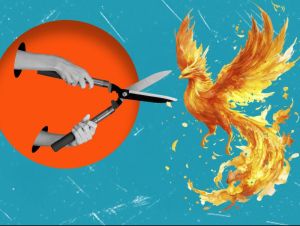 Disparar a l’au Fènix