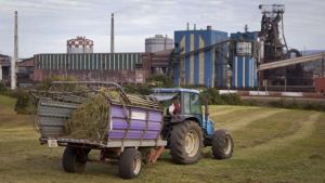ArcelorMittal cumple 20 años tirando del carro de la industria asturiana: el análisis del Gobierno regional, los expertos, los empresarios y los sindicatos
