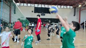 Maremma Academy. Un progetto storico