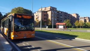 Il bus arriva ‘lungo’ e lui stacca a morsi l’orecchio all’autista: è caccia all’uomo