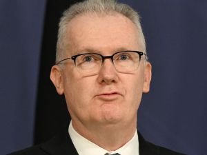 Bolt: ‘Deluded’ Burke says terrorists are homegrown, he’s wrong