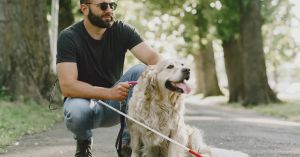 Catching Sight: Letting Guide Dogs Lead the Way as Teammates