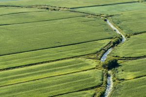 Un règlement agricole qui menace l’intégrité du territoire