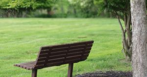 What Grief Teaches Us About Showing Up
