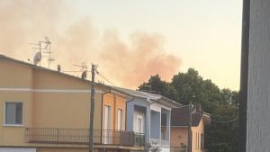 Pineta di Levante sotto attacco: altri tre focolai accesi di sera, rogo domato dopo alcune ore