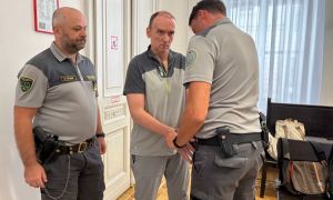 Zabodel svojo “energetsko svetovalko”: psiček ji je lizal rane