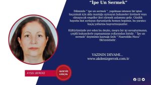 “İpe Un Sermek”