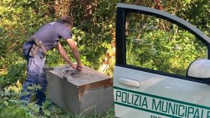 Ivrea, il mistero della cassaforte abbandonata nei boschi senza numero di serie
