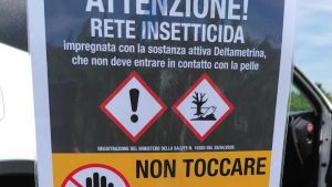 Arriva l’estate e ritorna la popillia japonica, al via il piano d’azione 2026 di Regione Piemonte