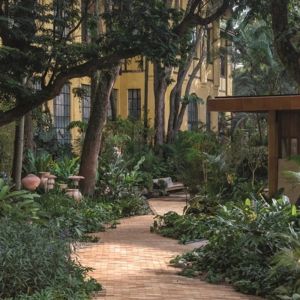 A cidade também educa: por que a beleza precisa estar na escola