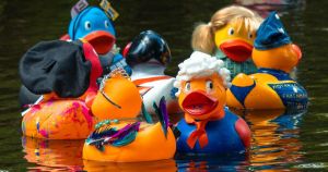 Annual festival featuring duck races and cardboard rafts returns this month