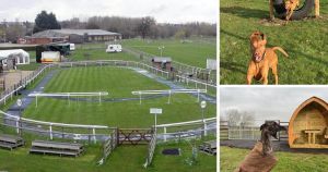 Warm weather prompts call for changes at dog walking field