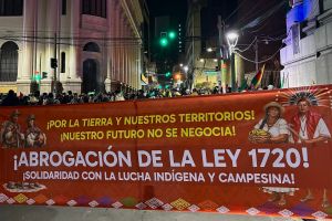 Bolivia al límite. Seis claves para leer este momento