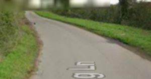 Tragedy as dog dies in country lane crash