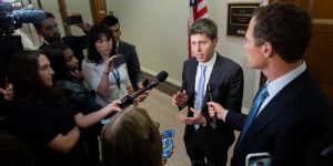 Are Government Stakes the Key to AI Sovereignty?