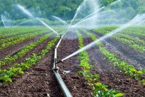 La demolición de Valdecañas y los Regadíos de Tierra de Barros